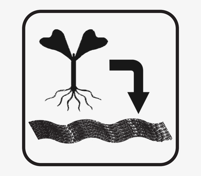 Indicator For Transplant, transparent png