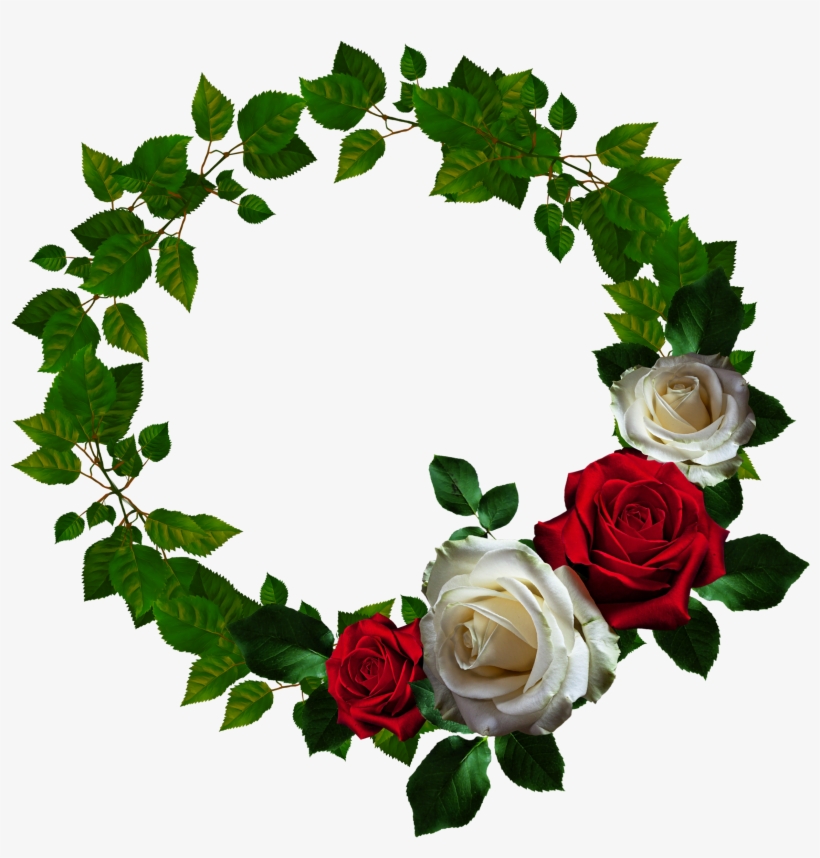 Picture Frame Flower Clip Art - Round Rose Frame Png, transparent png