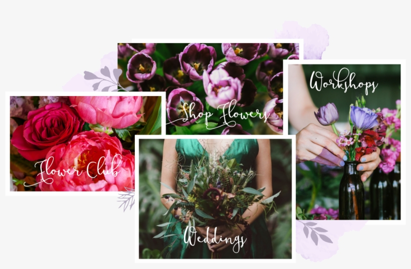 Contact Us To Discuss Your Special Event, Wedding, - Floribunda, transparent png
