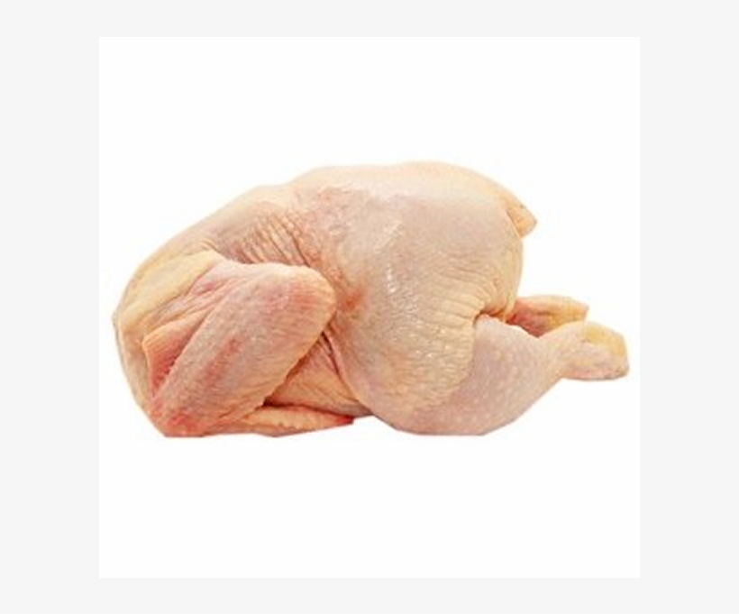 Chicken, transparent png