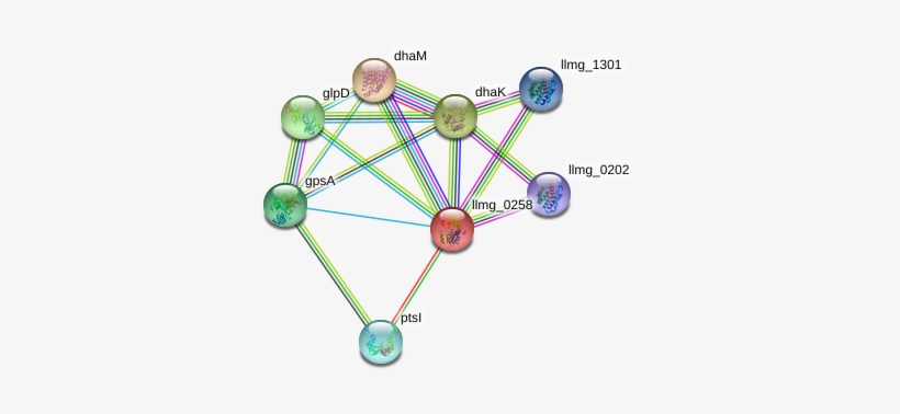 Llmg 0258 Protein - Diagram, transparent png