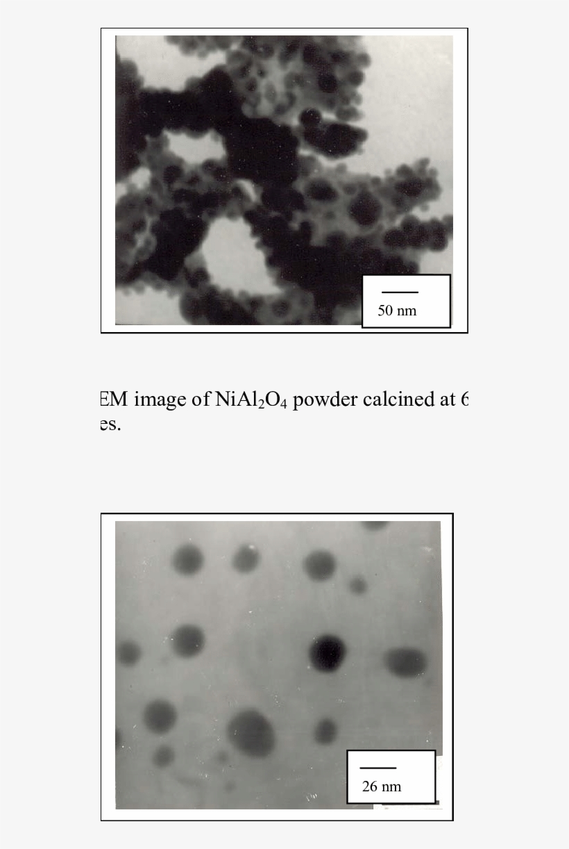 Bright Field Tem Image Of Nial 2 O 4 Powder Calcined - Tree, transparent png