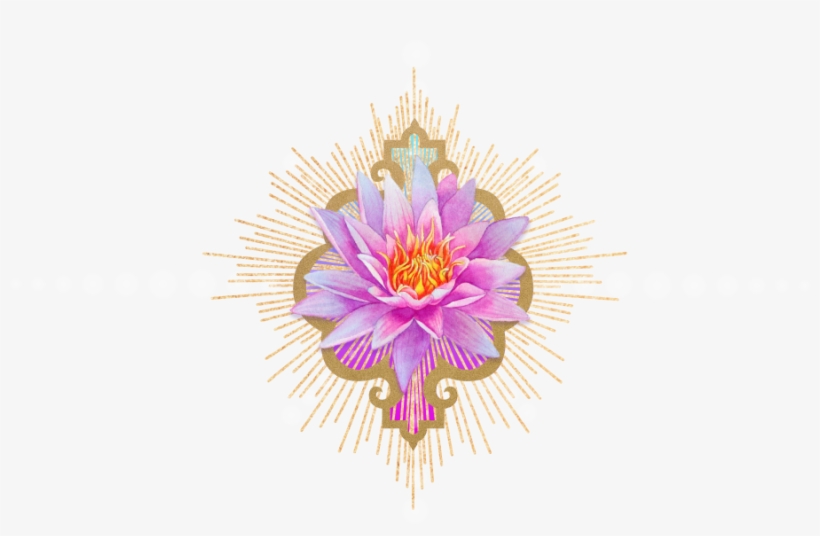 Lotus Divider - Passion Flower, transparent png