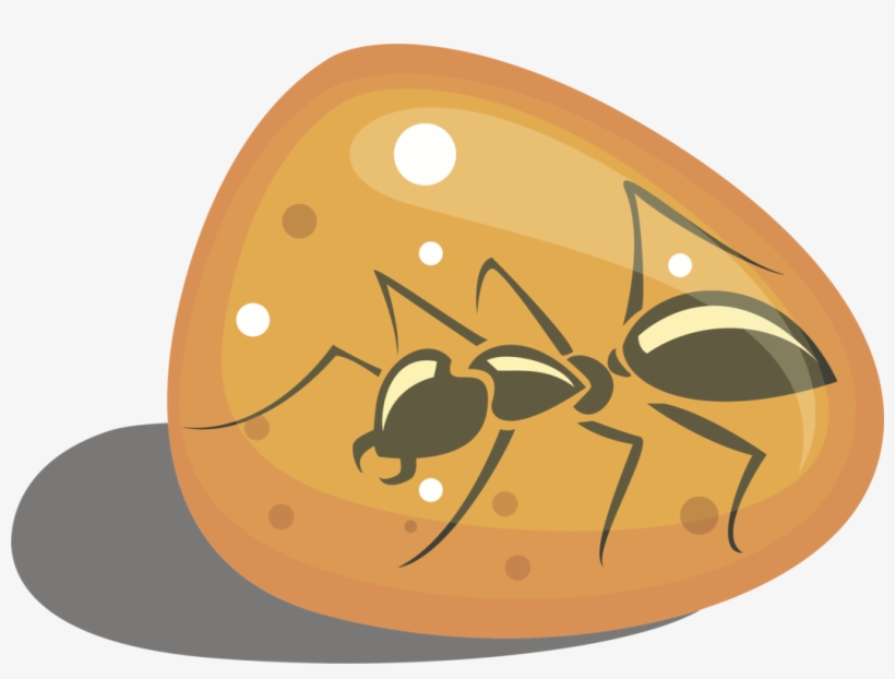 Amber Fossil Ant Resin - Fossil In Amber Clip Art, transparent png