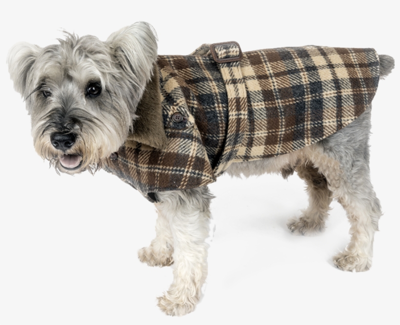 Dog Clothes, transparent png