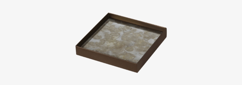 Tgn 020384 Fossil Organic Petite Glass Tray Metal Rim - Ceiling, transparent png