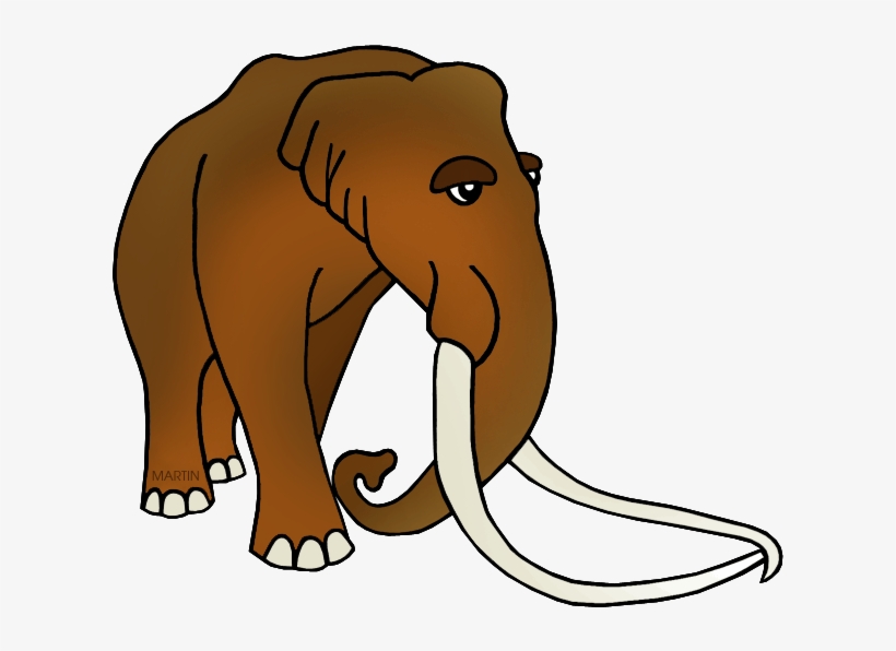 Fossil Clipart Phillip Martin - Indian Elephant, transparent png