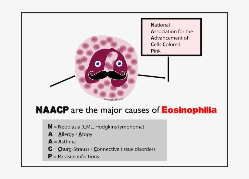 Naacp Mnemonic For The Major Causes Of Eosinophilia - Hematology Mnemonics, transparent png