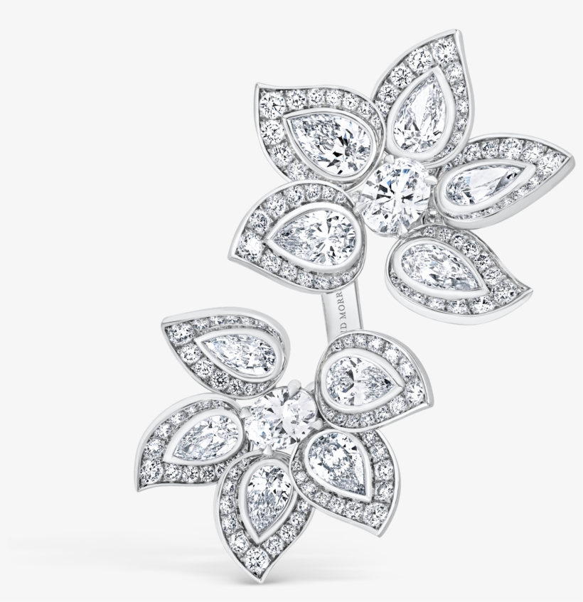 Ph 11 002 01 F2 Phoenix - Line Art, transparent png