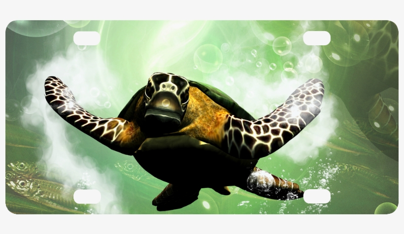Hawksbill Sea Turtle, transparent png