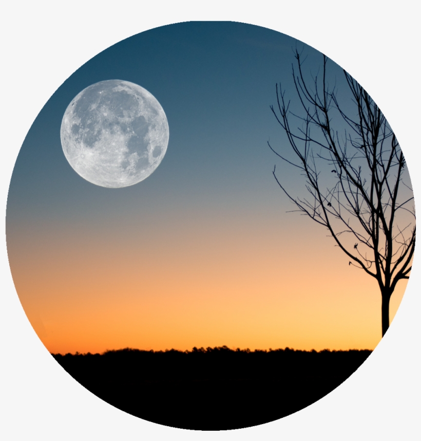 Because I'm Still In Love With You, On This Harvest - Moon, transparent png