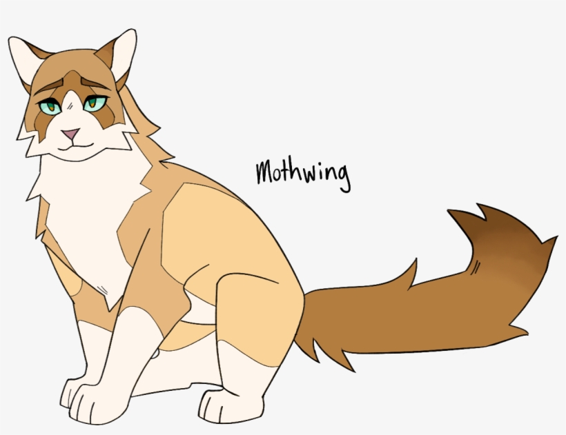 Image - Cat Yawns, transparent png