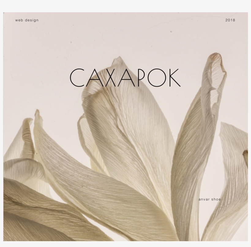 Webdesign Transparent Feather White Pictures Png Webdesign - Photography, transparent png