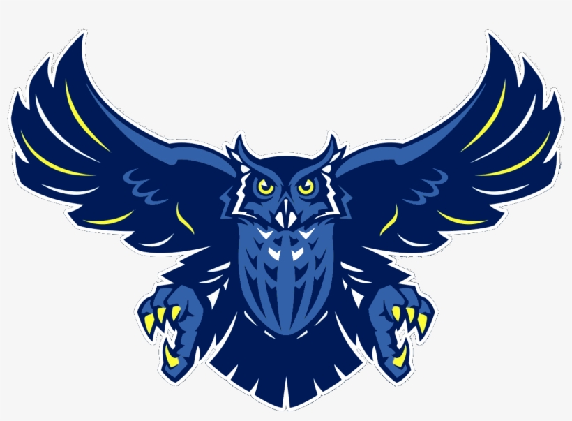 Blue Owl Png - Rice Owls, transparent png