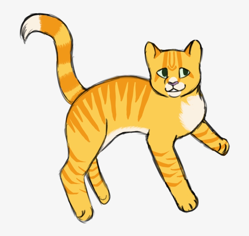 Wrow Look At My Warrior Cat Designs I'm Kind Of Proud - Cat Grabs Treat, transparent png
