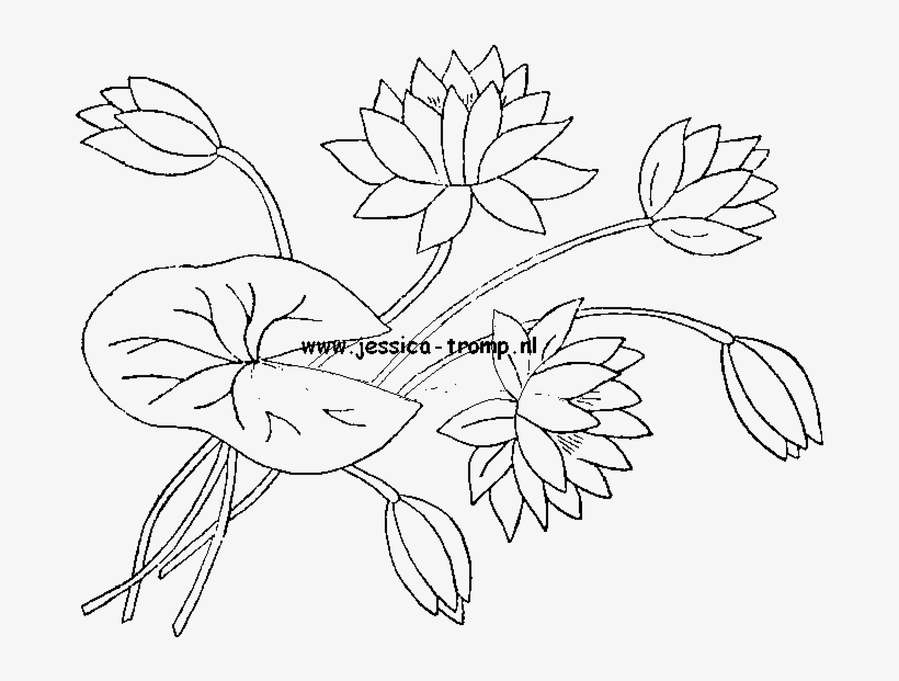 Antique Designs Borduren Png - Line Art, transparent png