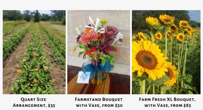 We Will Style A Bouquet Of Farm Fresh Flowers With - Bouquet, transparent png