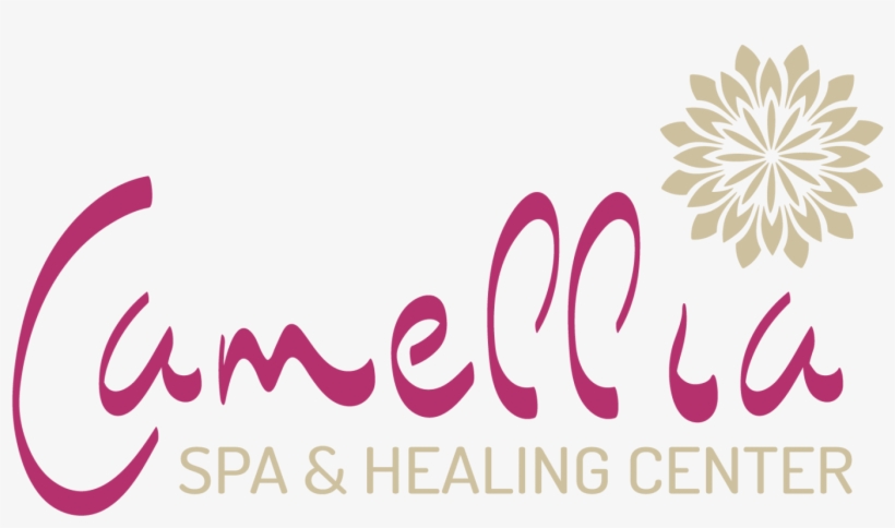 For More Detail Information, Please Visit Our Website - Graphic Design, transparent png