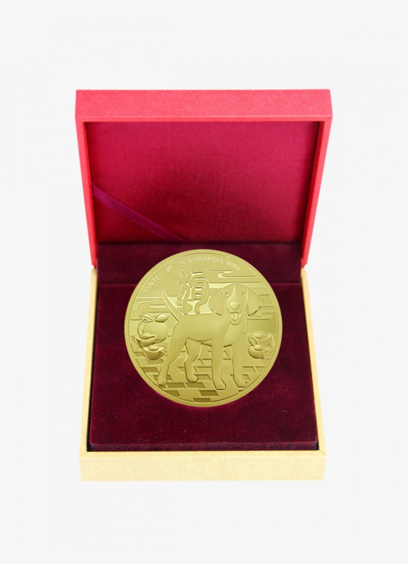 Coin, transparent png