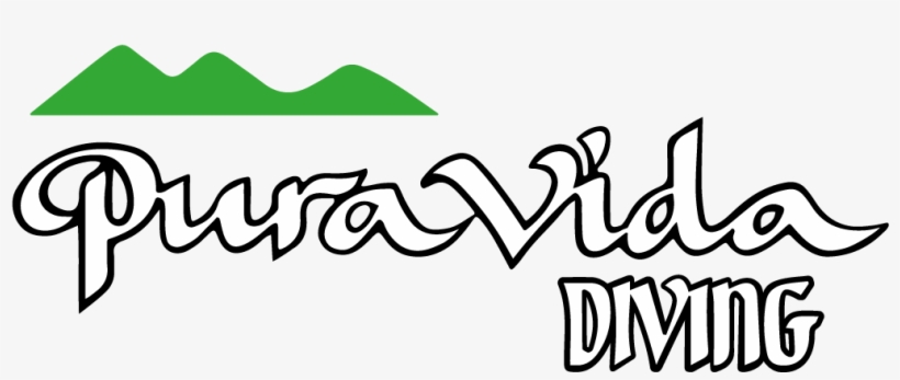 Eco Dive - Courses - Logo Pura Vida Diving, transparent png