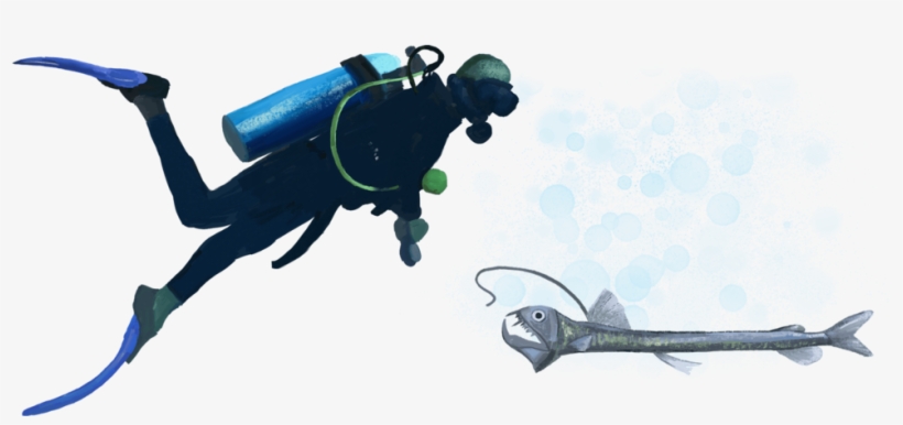 Dsd-diver - Illustration, transparent png