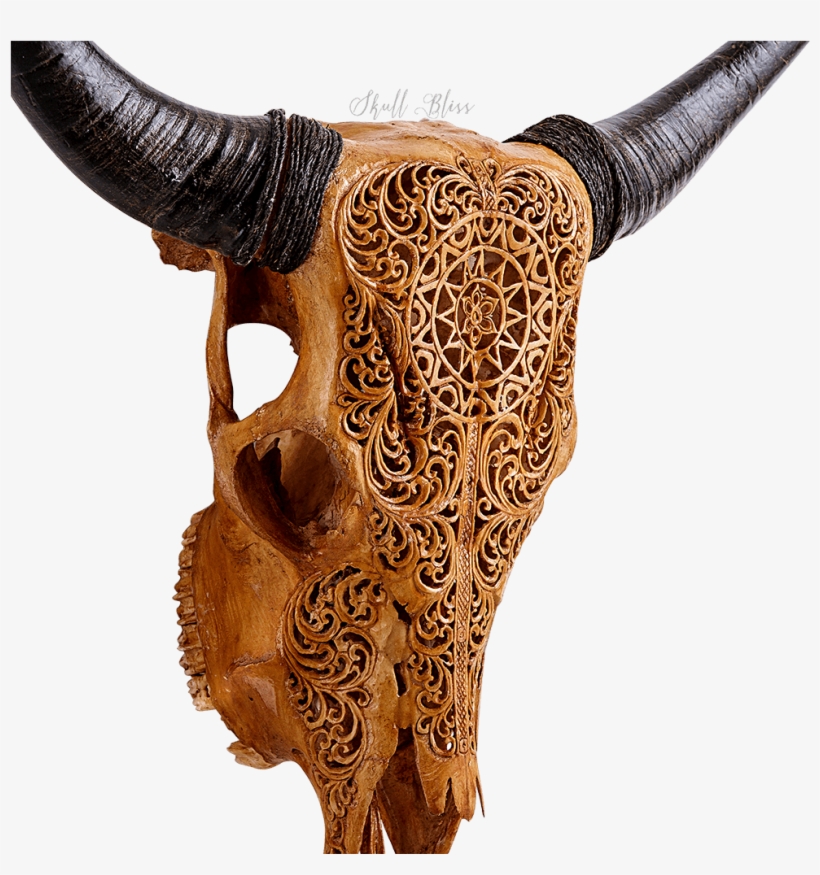 Bull, transparent png