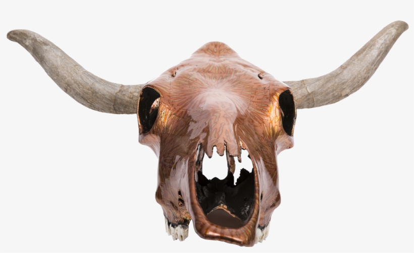 Steer Skull & Bone Root Stand - Horn, transparent png