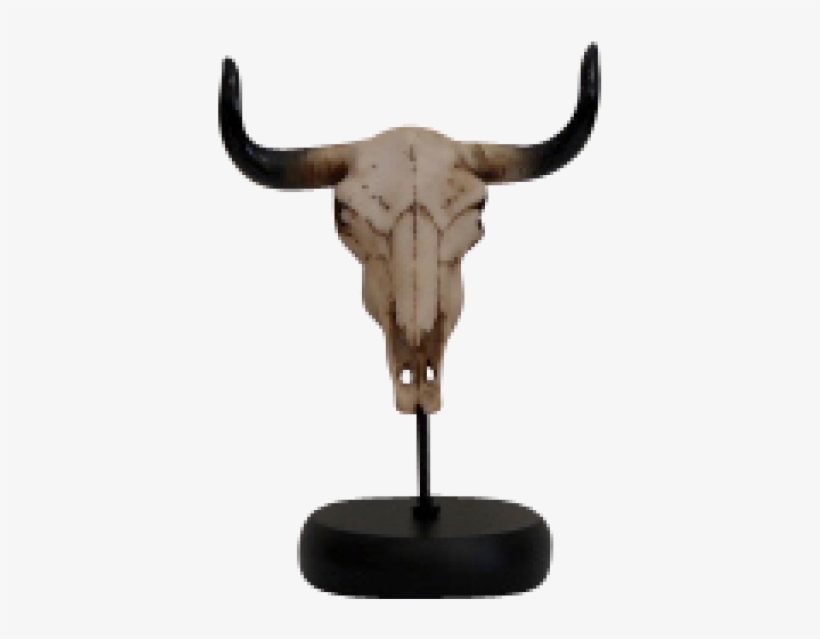 Small Steer Skull - Bull, transparent png