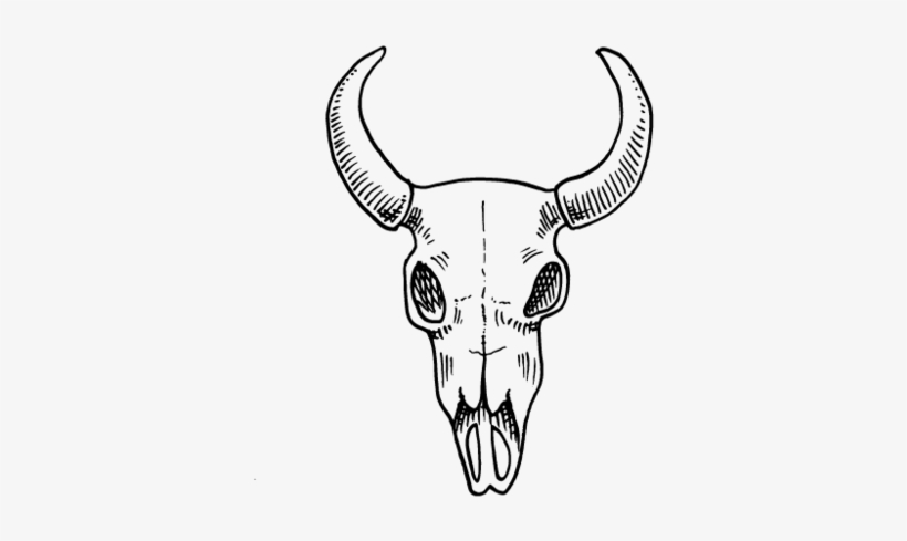 Skull - Bull, transparent png