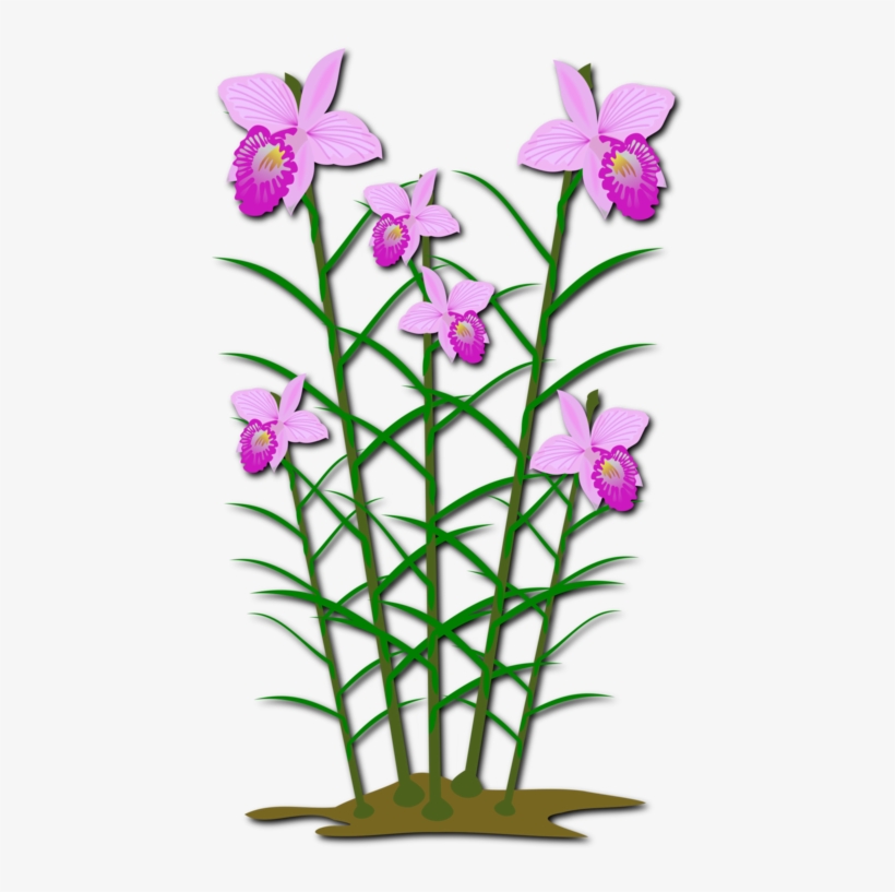 Moth Orchids Cut Flowers Computer Icons - ตัด ปะ ดอกไม้, transparent png