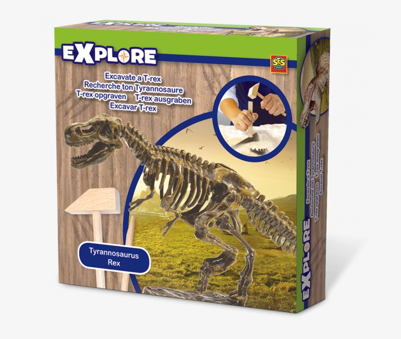 Explore Excavate A T-rex - Tyrannosaurus Rex Kosti, transparent png