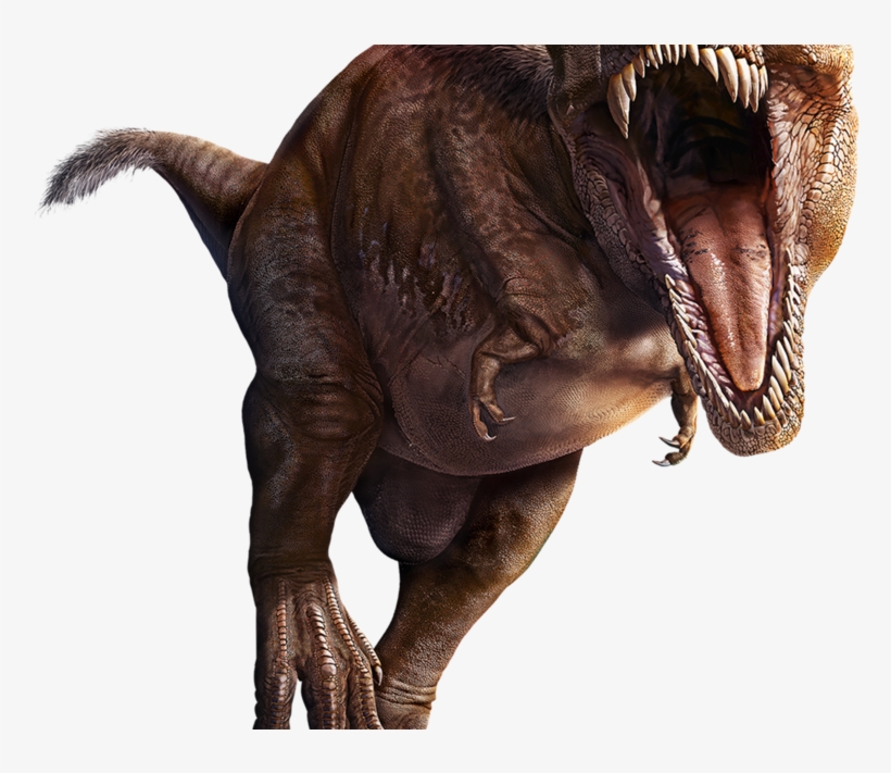 Velociraptor, transparent png