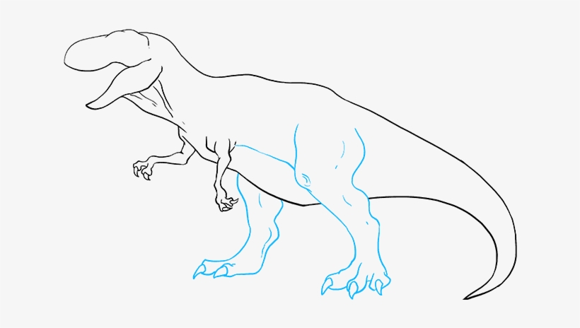 How To Draw Tyrannosaurus Rex - Tyrannosaurus, transparent png