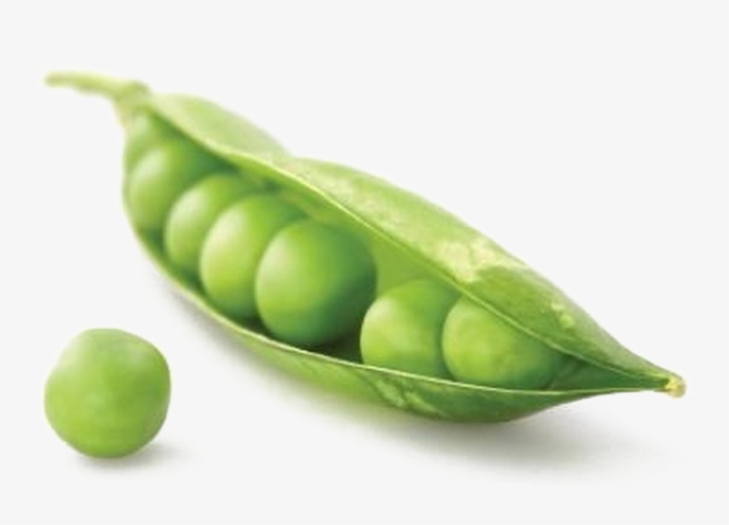 Pea Png Image - Pea, transparent png
