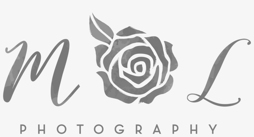 Ml Icon Grey Ombre - Garden Roses, transparent png