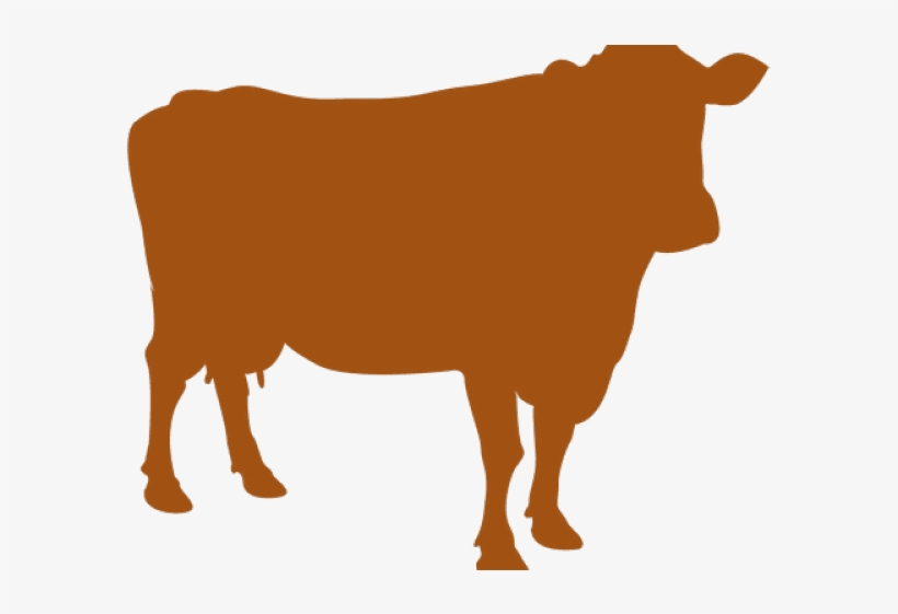 Cattle, transparent png