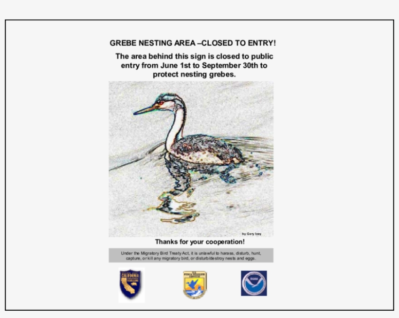 Draft Closed Area Sign For Grebe Conservation At Recreational - Vegetation Map Of California, transparent png