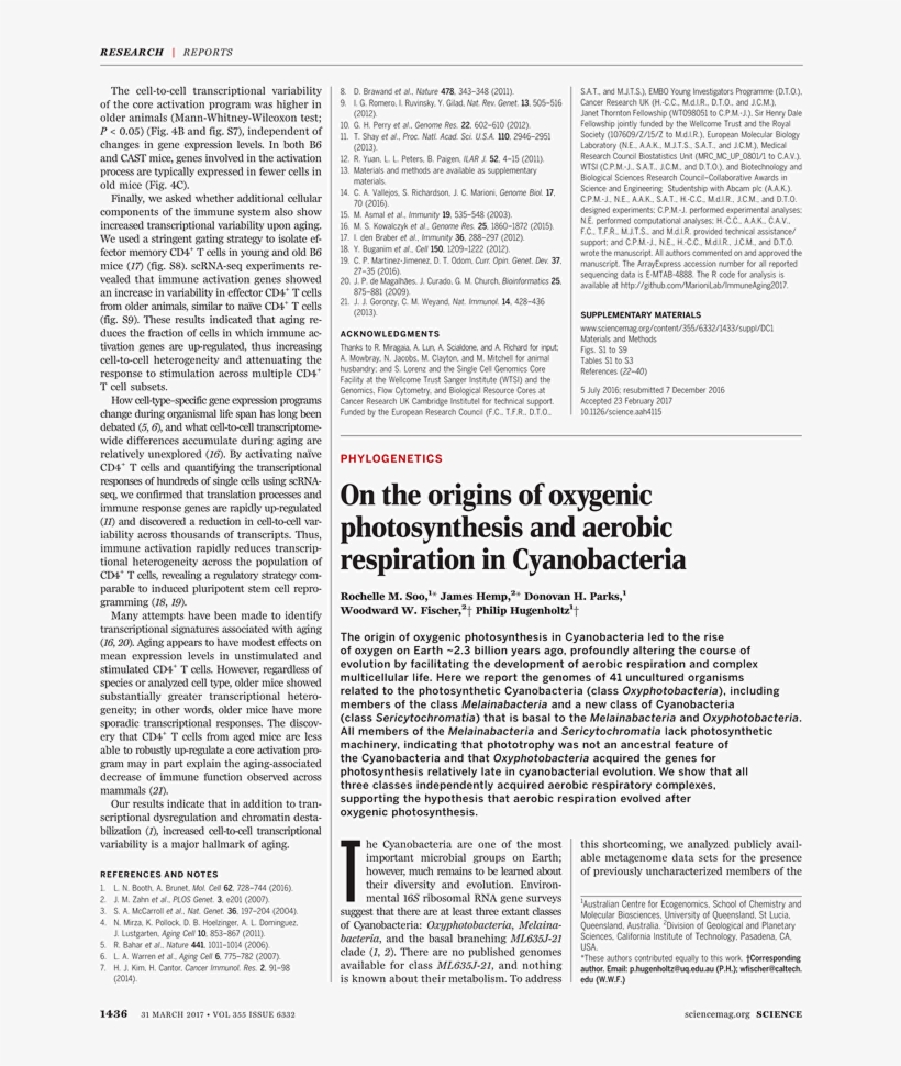 Back Issues - Discovery Of Achilles On Skyros, transparent png