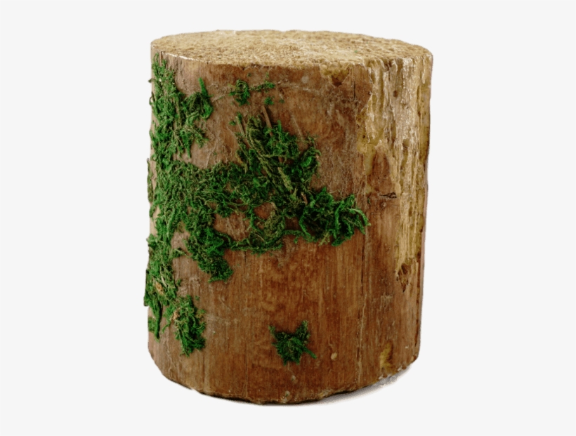 Decorative Tree Stump E - Tree Stump, transparent png