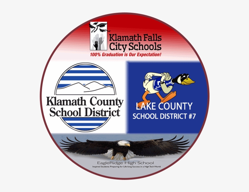 F - A - Q - Bald Eagle, transparent png