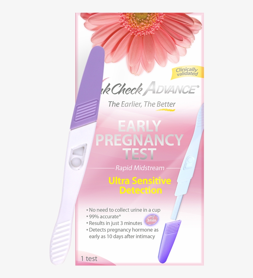 Results In Just 3 Minutes - Barberton Daisy, transparent png