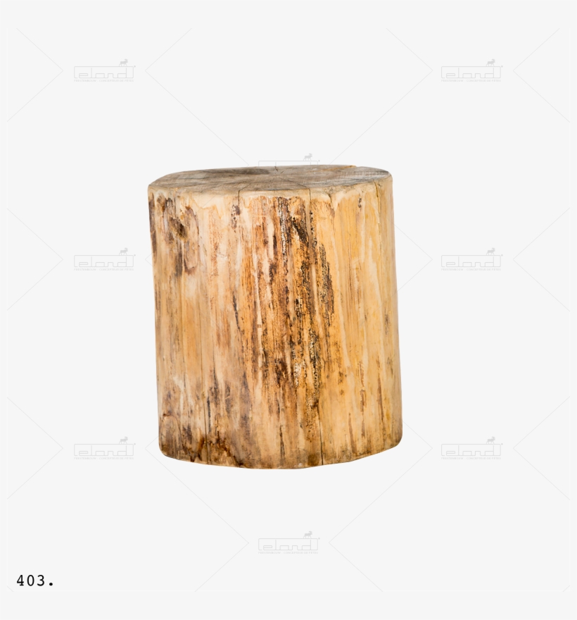 Tronc D Arbre Png, transparent png