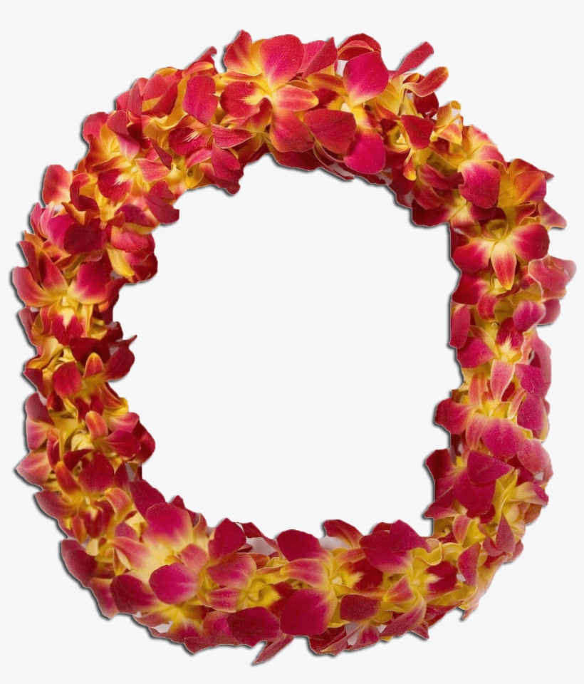 Double Orch - Circle, transparent png