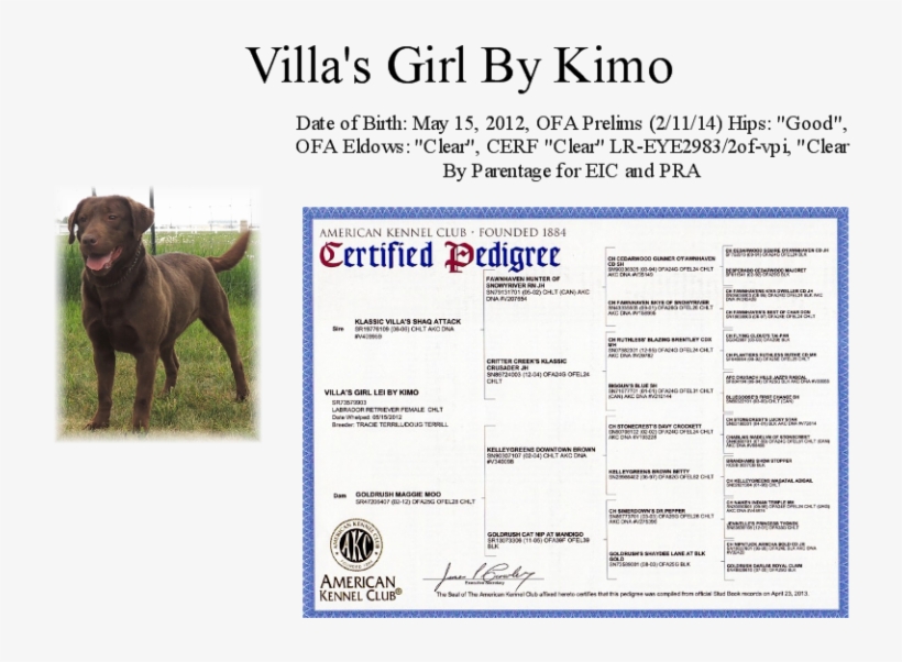 Lei Page - American Kennel Club, transparent png
