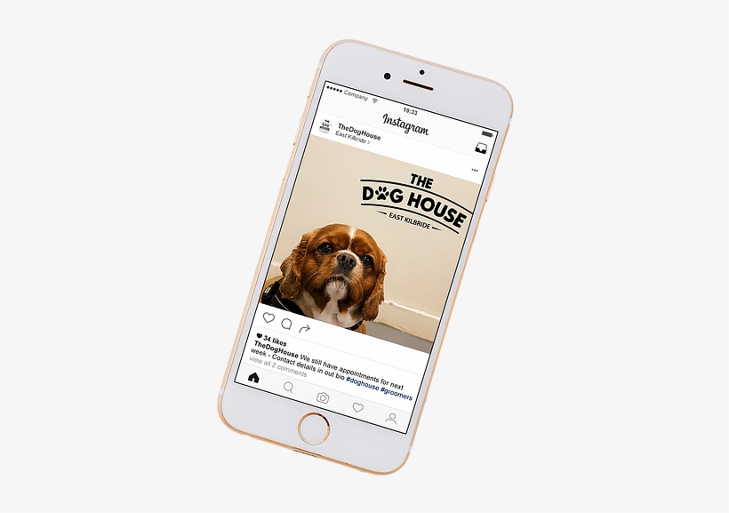 Insta 2 - Puggle, transparent png