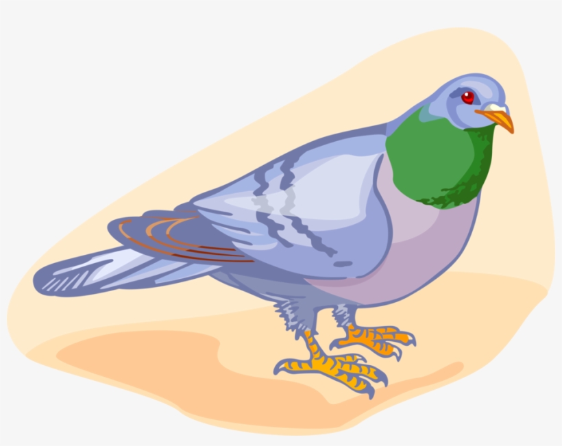 Vector Illustration Of Feathered Vertebrate Pigeon - Partridge, transparent png