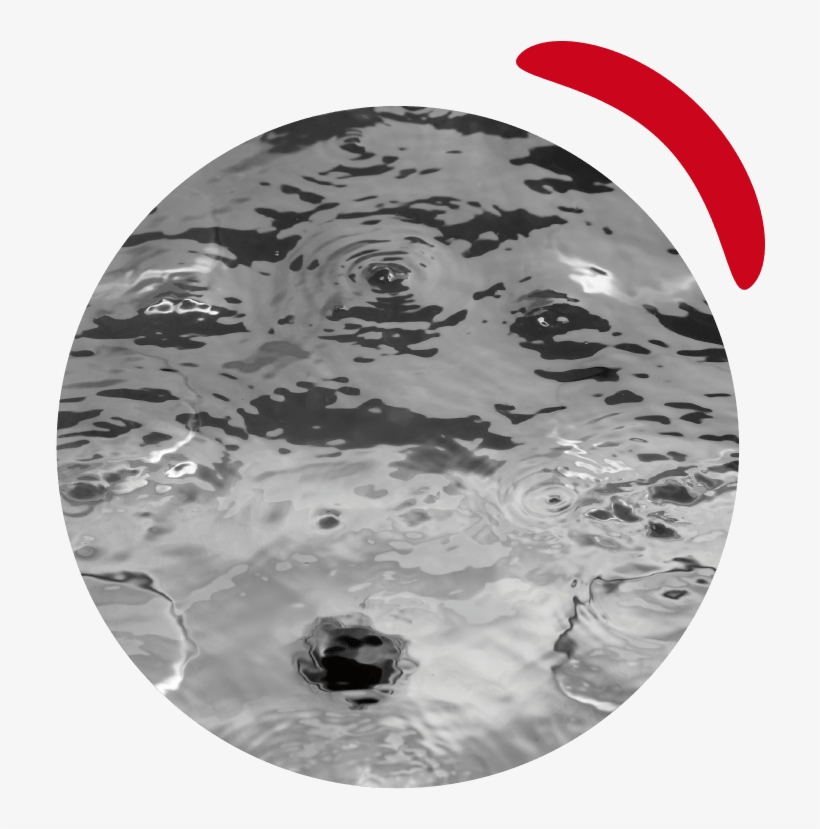 The Secret Behind The Induced Maturation© Has To Do - Circle, transparent png