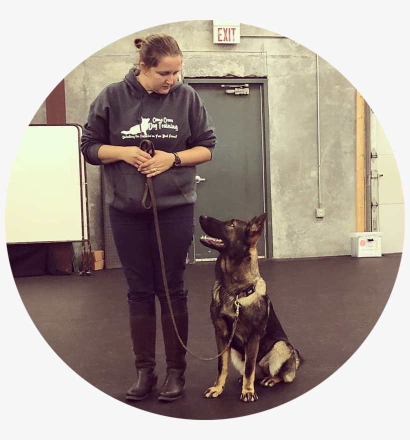 At Day School, Dogs Learn Even Faster With Skilled - Companion Dog, transparent png