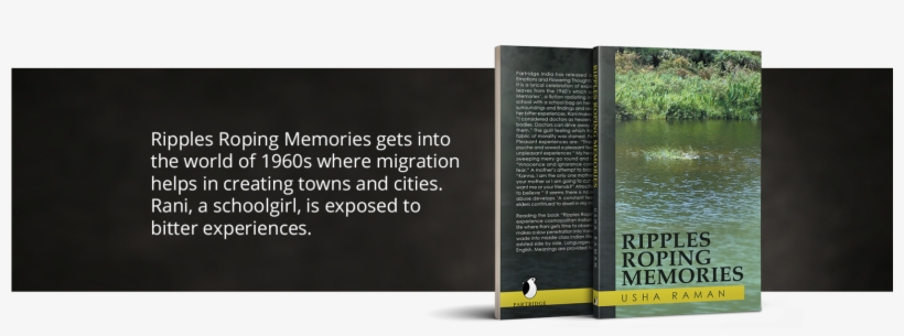 Book Overview - Brochure, transparent png