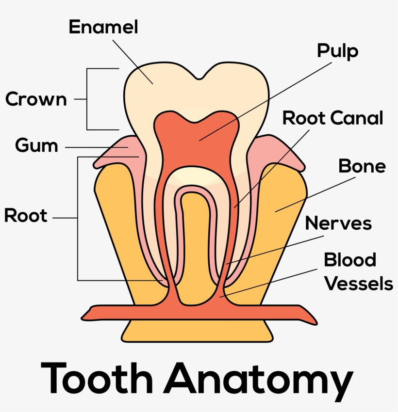 Big Image - Diagram, transparent png